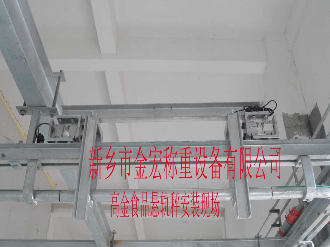 洛阳电子悬轨秤