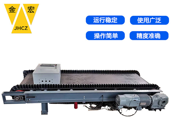 洛阳码头专用电子皮带秤