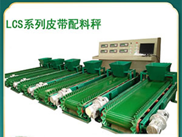 洛阳裙边橡胶带定量给料机